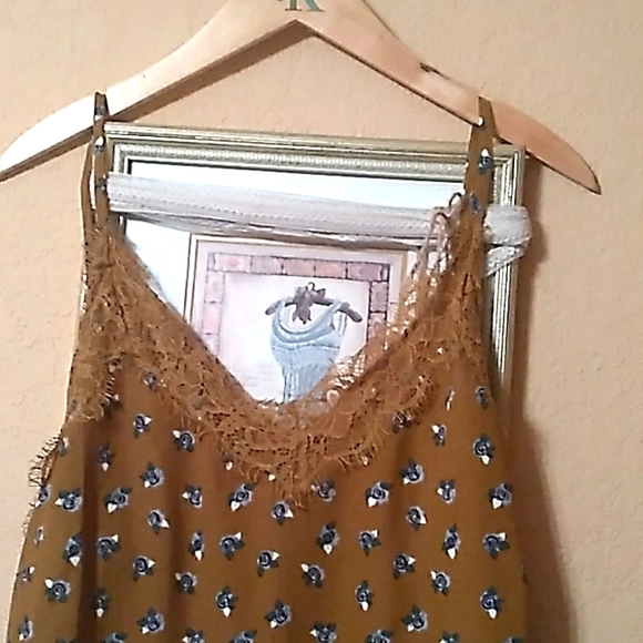 ⚜️Gauze Blue Roses on Tobacco Brown Dress  Sz  LG - Picture 1 of 15